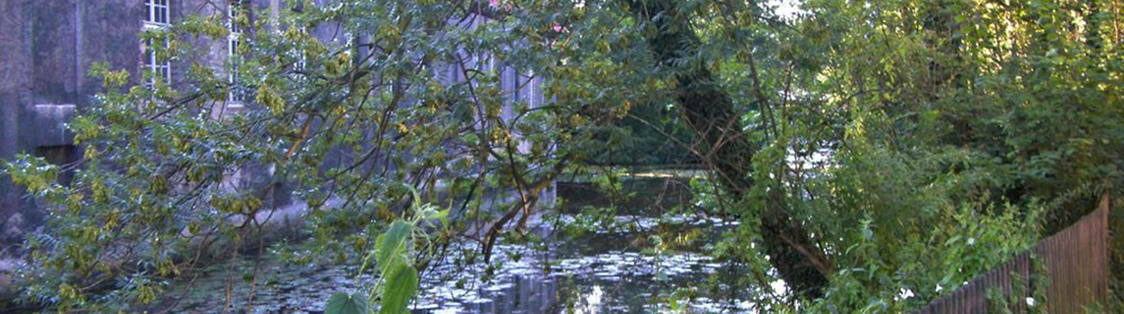 Galeriebild 3 Galeriebild 3